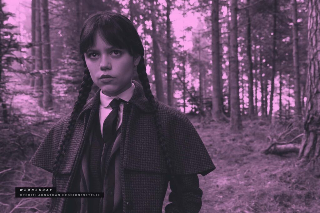 Music Industry Report: How Season-Over-Season Growth Defines Streaming IP